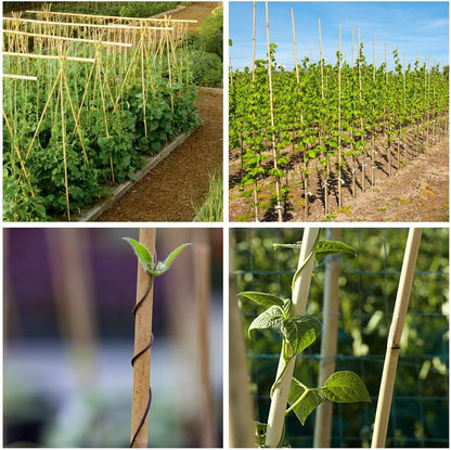 Mininfa Natural Bamboo Stakes 57 Inch (Approx 5 FEET), Eco-Friendly Garden Stakes, Plant Stakes Supports Climbing for Tomatoes, Trees, Beans, 20 Pack