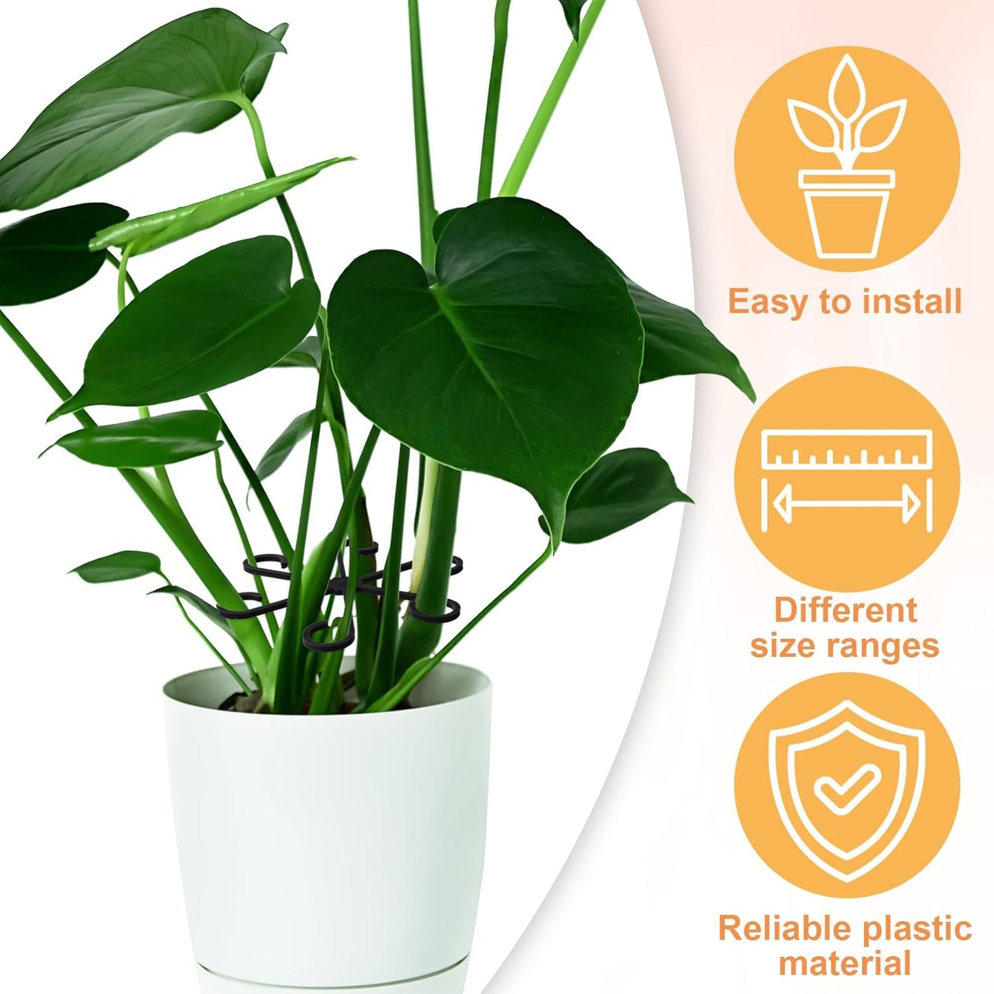 8PCS Plant Stem Support, 4 Sizes Climbing Houseplant Stem Holders, Plastic Reusable Flower Trellis Stem Hook Plant Care Growth Accessories for Flower Plants Indoor Outdoor - Black, Clear