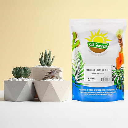 Horticultural Perlite Soil Additive (4 Quarts); for Enhanced Potting Mix Drainage and Growth