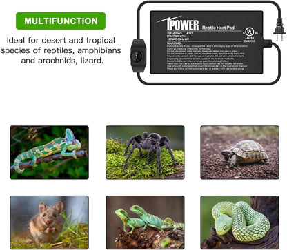 iPower 4 by 7-Inch 4 Watts Reptile Heating Mat with Temperature Controller Under Tank Warmer Terrarium Heat Pad for Reptiles and Amphibians, Black
