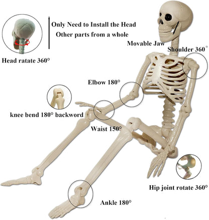 Skeleton Halloween Decorations Outdoor Indoor - 2Pcs 36" 1Pcs 16" Posable Plastic Skeleton, Movable Joints Full Body Bones,Funny Halloween Decor for Party,Porch,Haunted House,Yard, Garden,Graveyard
