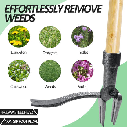 Weeder - Stand Up Weed Puller Tool with Long Handle - Real Bamboo & 4-Claw Steel Head Weeder Tool, Weeding Tool Weed Remove Tool for Lawn/Yard, Easily Remove Weeds Without Kneeling