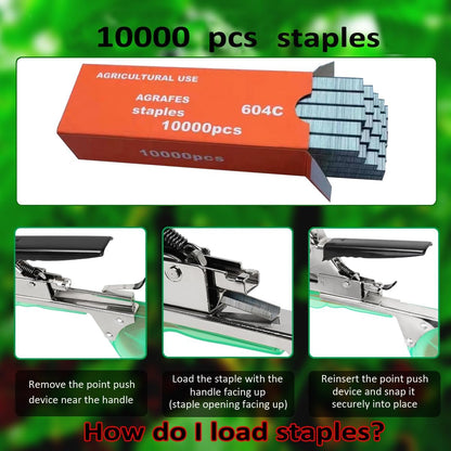 20Rolls of 100 Feet tie Tape and 1 Box of Staple (10000 PCS Staples) for Plant Tying Machine,Plant Tape for Climbing Plants, Grapes, Raspberries, Tomatoes and Vining Vegetables Flowers-Blue