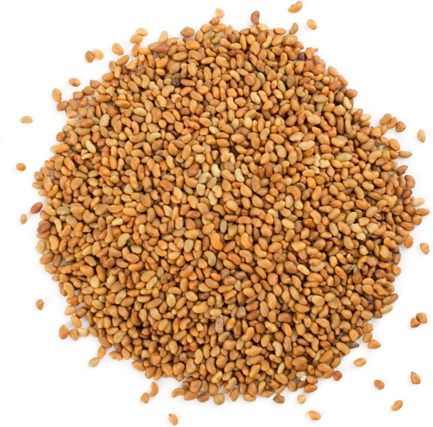 Food to Live Organic Alfalfa Seeds for Sprouting, 12 Ounces - Non-GMO, Edible Seeds, Pure, Kosher, Bulk. Rich in Vitamin K & C. High Germitation Rate. Grow Sprouts & Microgreens for Salads, Rolls