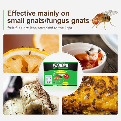 Fruit Fly Trap Covers, Double-Sided Sticky Adhesive Cards for Gnats, Fruit Flies, Moths, Kitchen Insect Control (49 Pcs)