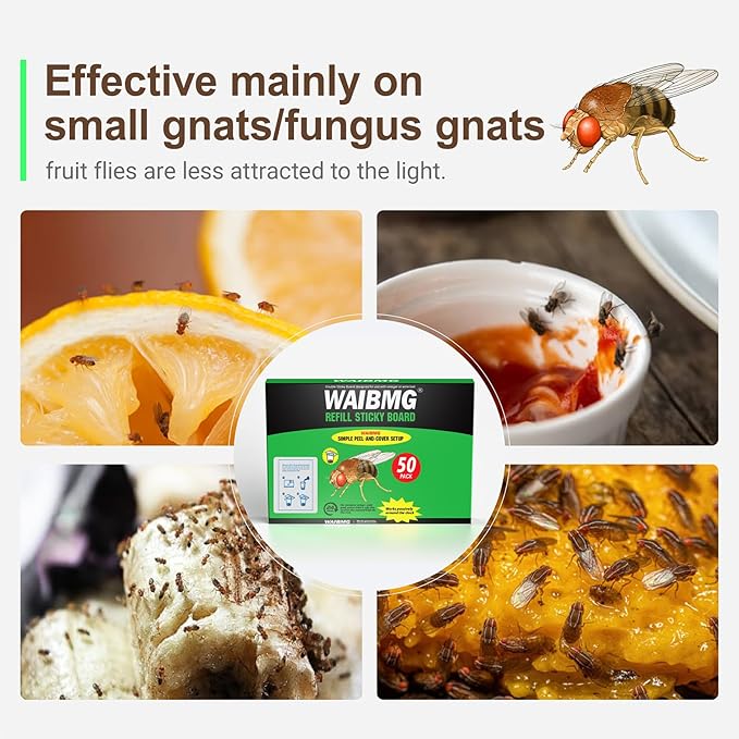 50 Pack Fruit Fly Trap Covers, Double-Sided Sticky Adhesive Cards for Gnats, Fruit Flies, Moths, Kitchen Insect Control (50 Pcs)