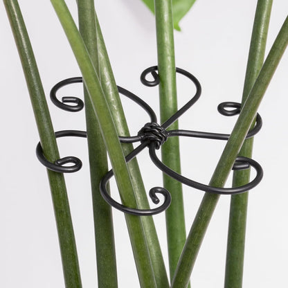 Monstera Plant Support Hook - 4.1x4.1IN 5PCS, Durable Adjustable Stem Support System, Gentle Protection for Monstera and Fishbone Cactus, Professional Indoor Plant Stabilizer