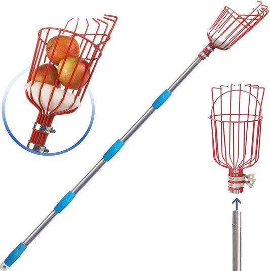 Fruit Picker Tool, Fruit Picker Pole with Basket Height Adjustable - 8FT Mango Lemon Orange Apple Picker - Fruits Catcher Tree Picker for Getting Fruits