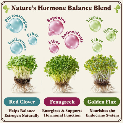 Seedboy Organic Non-GMO Sprouting Seeds, Hormone Balance Blend - USA Grown Microgreens Mix with Golden Flax, Red Clover, Fenugreek - 8 oz Bag Makes 8 Quarts / 24 Servings (Hormone Balance Blend)