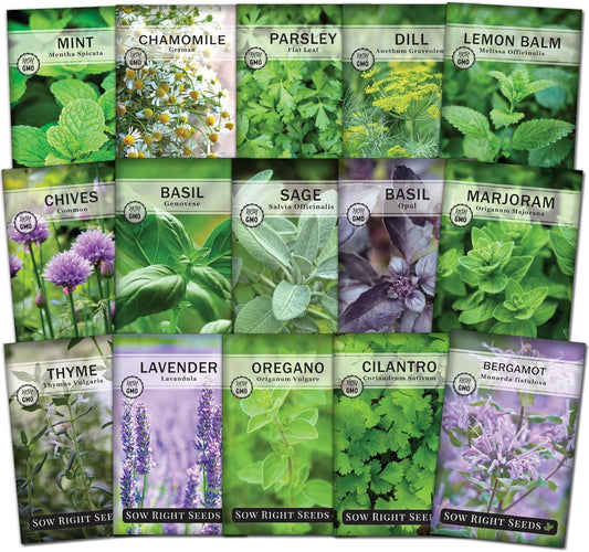 Sow Right Seeds - 15 Herb Garden Seed Collection for Planting - Essential Herbs for Cooking - Non-GMO Heirloom Packet Instructions to Grow Kitchen Garden Indoors or Outdoors - Great for Hydroponics