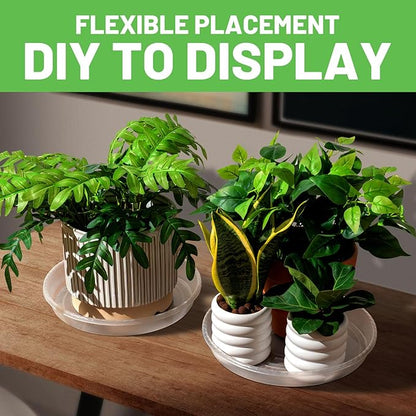 MUDEELA 6 Pack of 8 inch Plant Saucer, Durable Plastic Plant Trays for Indoors, Clear Plastic Flower Plant Pot Saucer, Made of Thicker, Stronger Plastic, with Taller Design