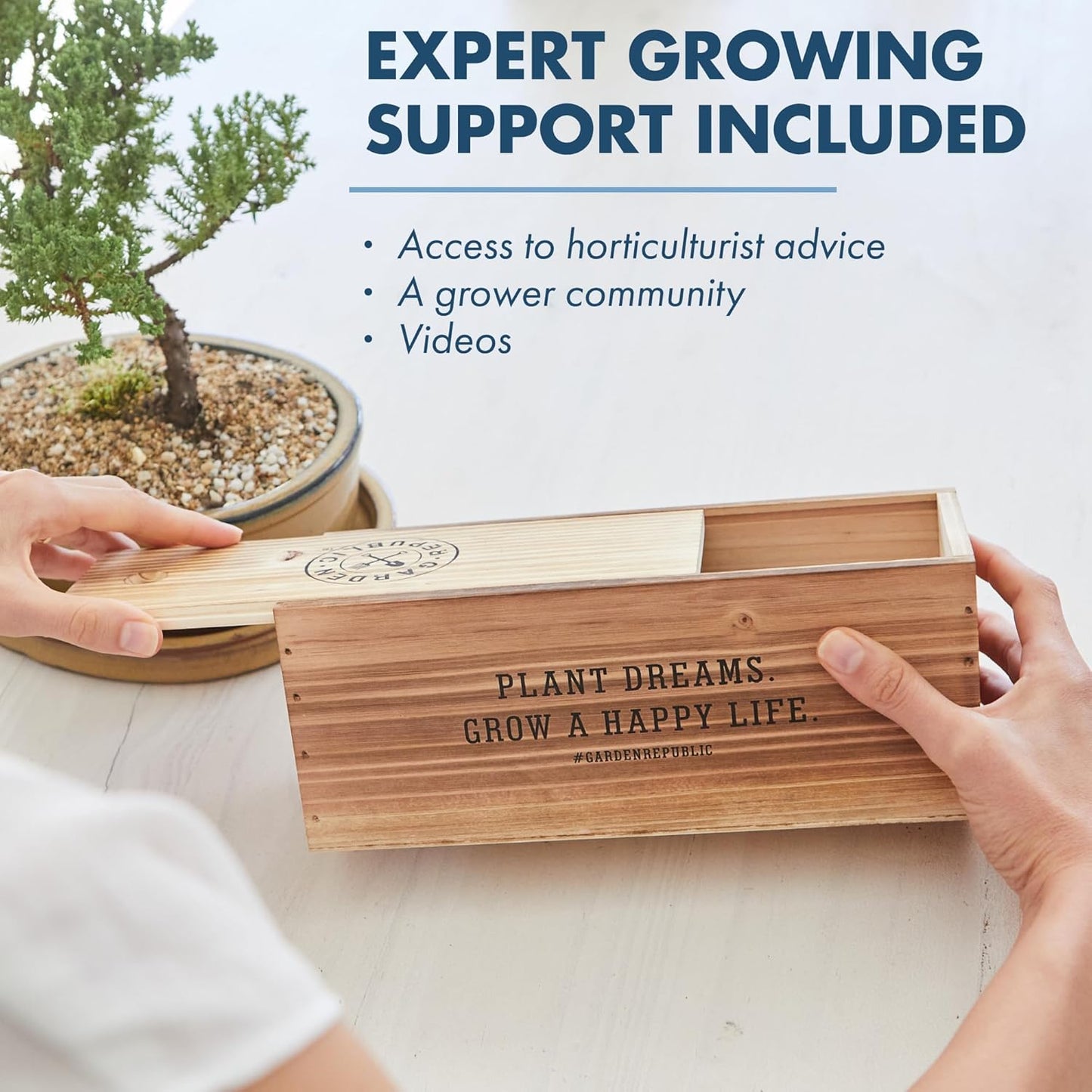 Garden Republic Medium Bonsai Tree Kit, Grow 3 Mini Bonsai Trees, Indoor Plant Growing - Starter Kit with Seeds, Soil, Planters & Shears, Gardening Gifts
