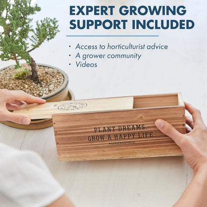 Garden Republic Medium Bonsai Tree Kit, Grow 3 Mini Bonsai Trees, Indoor Plant Growing - Starter Kit with Seeds, Soil, Planters & Shears, Gardening Gifts