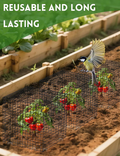 5 Pack Plant Protector from Animals, Square Metal Plant Cages Chicken Wire Cover Mesh Plant Cage, Garden Plant Protector for Plants Flower Vegetable to Keep Animals Out (12x12 in)