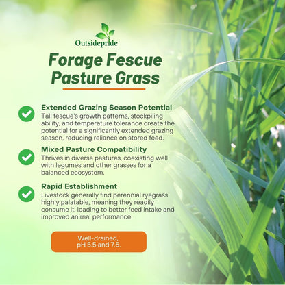 Outsidepride Forage Tall Fescue Grass Seeds - 25 lb. Perennial, Drought-Tolerant & Easy to Grow, Pasture Seeds for Planting Soft & Abundant Grass, Great for Grazing Livestock & Hay Production