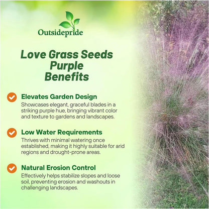 Outsidepride 500 Seeds Perennial Eragrostis Spectabilis Ornamental Love Grass Seed for Planting