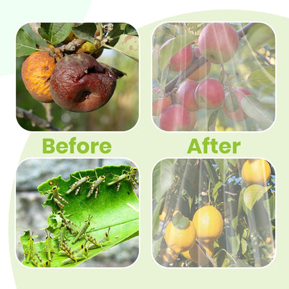 2Pcs Large 8x8ft Fruit Tree Netting Cover with Zipper, Rope, Lock Buckle - Mesh Bags for Garden Protection - Insect Bird Plant Netting for Garden, Fruit Trees, Blueberry Bushes, Flower