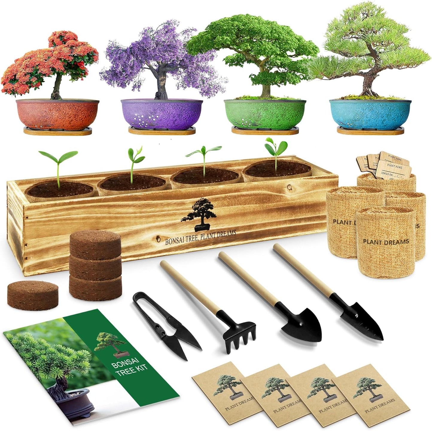 Bonsai Tree Kit, Complete Bonzai Tree Starter Kits with Tools, Unique DIY Gardening Gifts for Mom Women Men, Crafts Hobby Kits, Grow Bonsai Tree Live Indoor