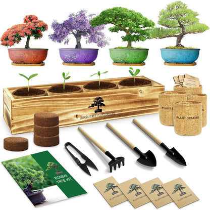 Bonsai Tree Kit, Complete Bonzai Tree Starter Kits with Tools, Unique DIY Gardening Gifts for Mom Women Men, Crafts Hobby Kits, Grow Bonsai Tree Live Indoor