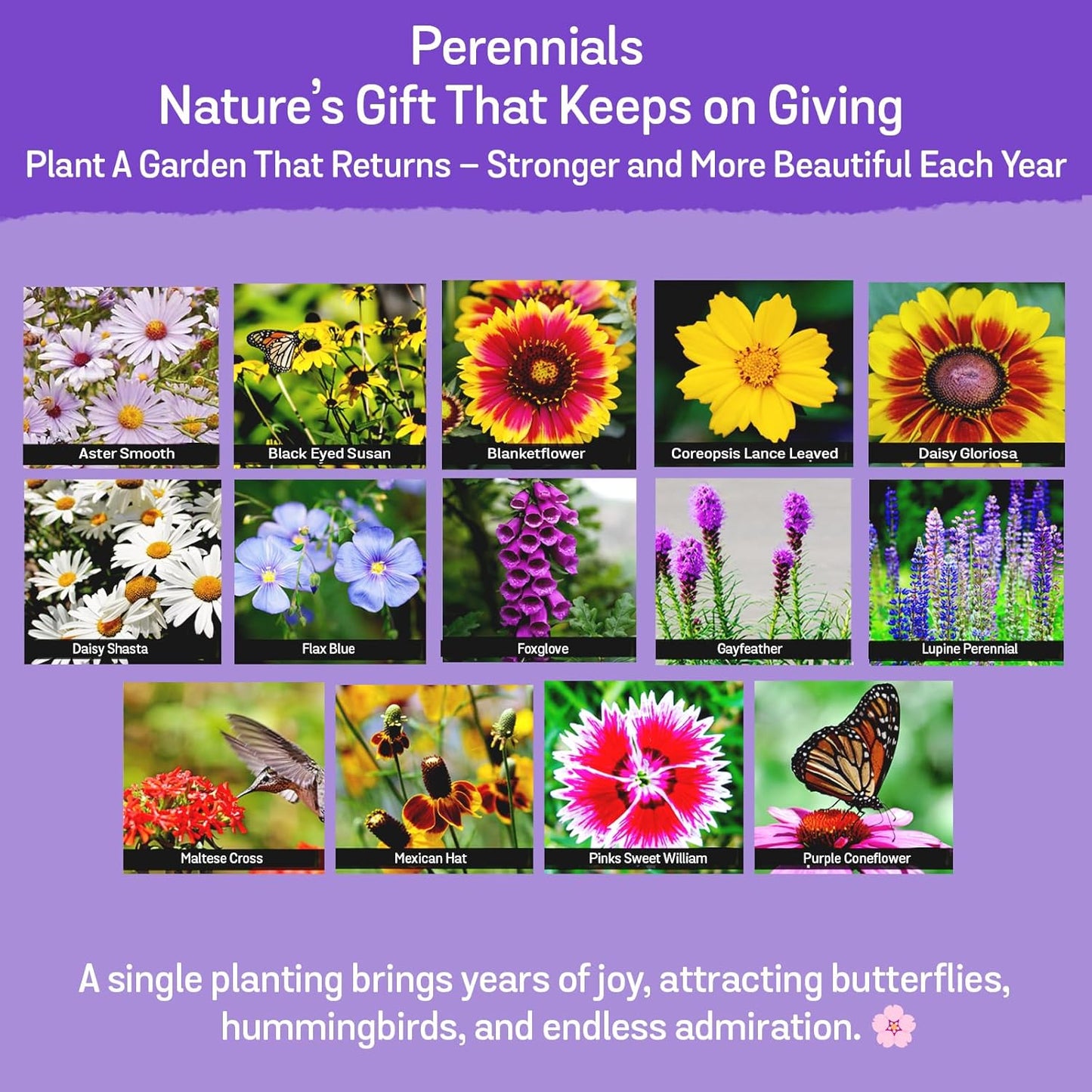 NatureZ Edge Wildflower Seeds, 1/2 lb, 340,000 Seed, 35 Variety Perennial & Annual Flower Seeds to Plant Outside, Bulk Wildflower Seed, Wild Flower, Semillas de Flores