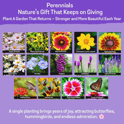 NatureZ Edge Wildflower Seeds, 1/2 lb, 340,000 Seed, 35 Variety Perennial & Annual Flower Seeds to Plant Outside, Bulk Wildflower Seed, Wild Flower, Semillas de Flores