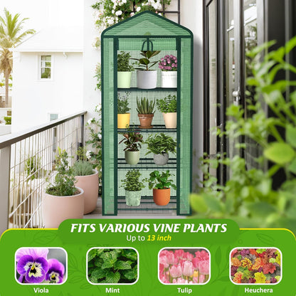 4-Tier Mini Greenhouse Indoor Outdoor with Shelves, Portable Small Green House for Plants with Durable PE Cover & Zipper Door for Seed Starting, Balcony, Patio Garden