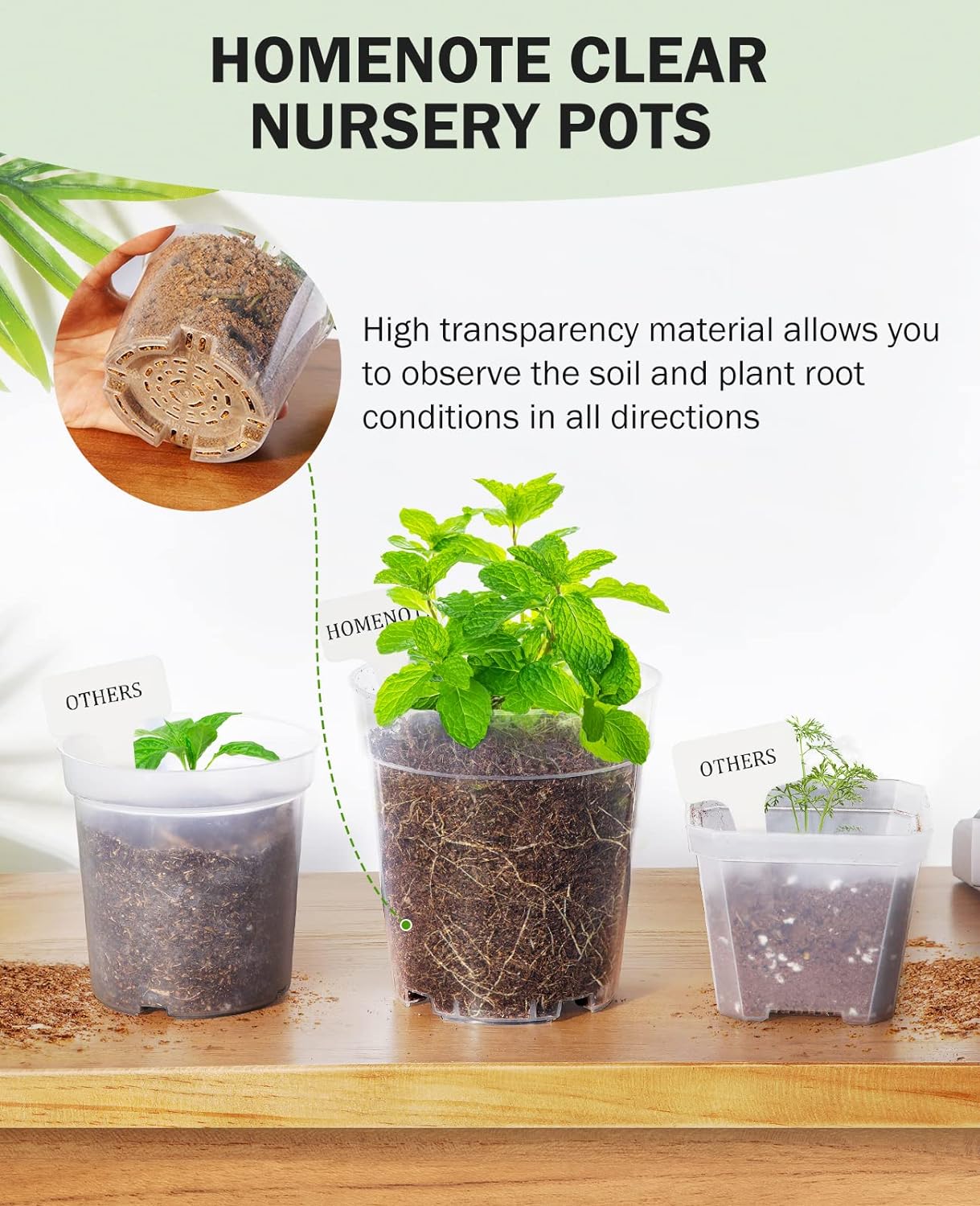 homenote Clear Nursery Pots for Plants,5 Inch Plant Pot for Planting Plastic Seedling with Drainage Holes Seed Starter Flower High Transparency with 20 Labels (30 Pack)