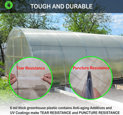 6 mil (24ft x 50ft) 100% Virgin Material. 5Layers Advanced Extrusion Technology for UV Protection, Anti-drip, Anti-Fog, Thermal and Strength. 4Years Lifetime UV Resistant Greenhouse Plastic