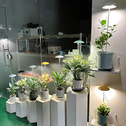 LED Grow Lights for Indoor Plants, Smart USB Small Full Spectrum Plant Lights with Remote, Height Adjustable, Auto On/Off Timer, Ideal for Home Decoration, Black