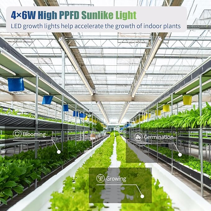 Grow Lights for Indoor Plants, 3000K Full Spectrum, 1FT Plant Growing Lamp with Side Switch, LED Grow Light Bulbs, T5 Grow Light Strip, Plug and Play, 4-Piece Set