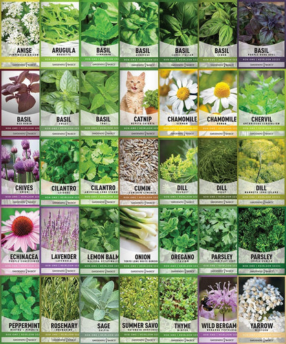 35 Medicinal & Culinary Herb Seeds Variety Pack – Heirloom Non-GMO Garden Kit for Indoor, Outdoor, or Greenhouse Growing – Apothecary, Tea & Cooking Herbs – Premium Gift for Gardeners & Homesteaders