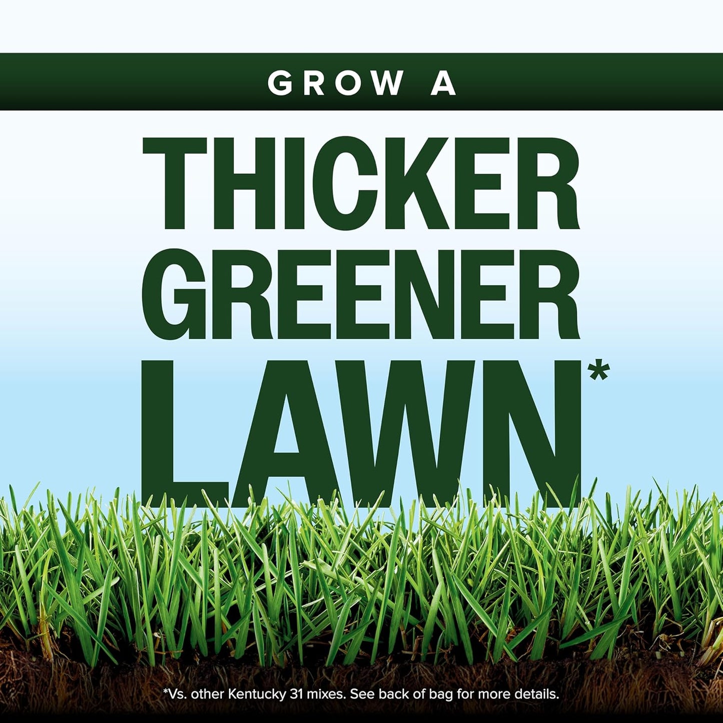 Scotts Kentucky 31 Grass Seed Mix for New Lawns or Overseeding, Grows Thicker and Greener vs. Other Kentucky 31 Mixes, Covers up to 10,000 sq. ft.