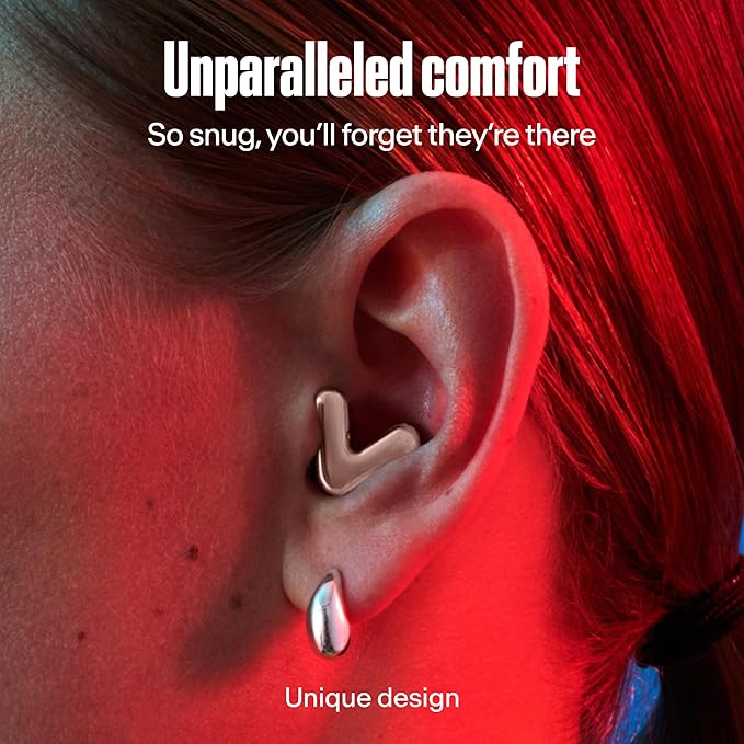 Alpine Tune Earplugs, Concert Ear Plugs for Noise Reduction, High Fidelity Music Quality, 19dB