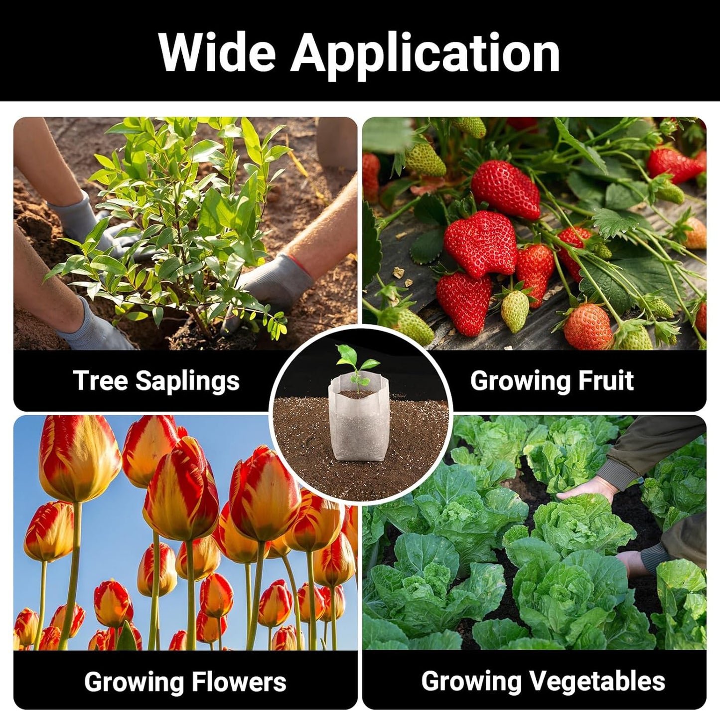 Plant Nursery Bags, 200 pcs 9.8 x 11 in Non-Woven Fabric Seedling Bags Plants Pouch, Plant Grow Bags for High Seedling Survival Planting Growing Flowers Fruit Tree Seed Starting