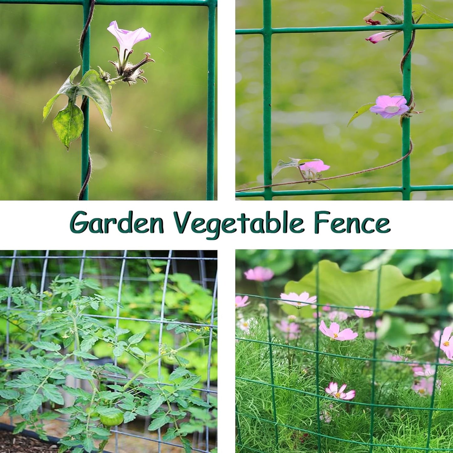 Green Metal Garden Fence, 72inch(H) x 50ft(L), 2 inch x 4 inch,12.5GA 2/3/4/5/6 Ft Tall Chicken Wire PVC Coated Welded Wire Mesh Roll for Dogs Border Yard Vegetable Plant Protection Poultry Netting