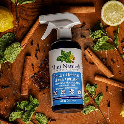 Spider Defense – Natural Spider Repellent Indoor & Outdoor, Peppermint Oil Spray for Home, Cabins, Garages, RVs & Commercial Use – Eco-Friendly Pest Control, 16oz Made in USA