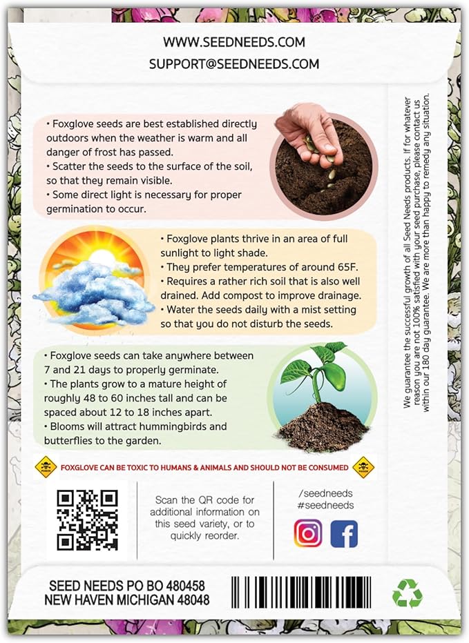 Seed Needs, Mixed Gloxiniaeflora Foxglove Seeds for Planting - Heirloom & Open Pollinated Biennial Flowers - Perfect for Butterfly Gardens & Insectaries (1 Pack)