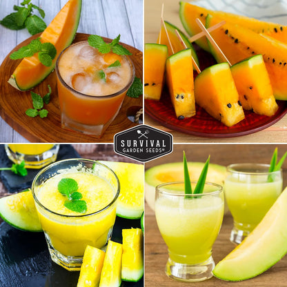 Melon Seeds Variety Pack – 6 Heirloom Cantaloupe, Honeydew & Watermelon Types for Planting – with Honey Rock, Hale’s Best, Tendersweet, Georgia Rattlesnake – Survival Garden Seeds