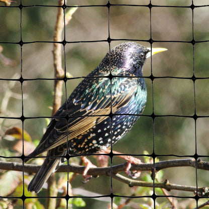 Bird-X Standard Bird Netting, Ideal for Gardens and Lightweight Applications, UV-Stabilized Mesh Netting with 3/4" Hole Opening, Easy to Install, 100' x 14'