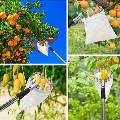 Fruit Picker Pole with Basket Telescoping, 11.5FT Adjustable Fruits Picker Tool with Lightweight Stainless Steel Pole and Big Non Woven Basket Fruits Catcher Tree Picker for Apples Mango Lemon Orange