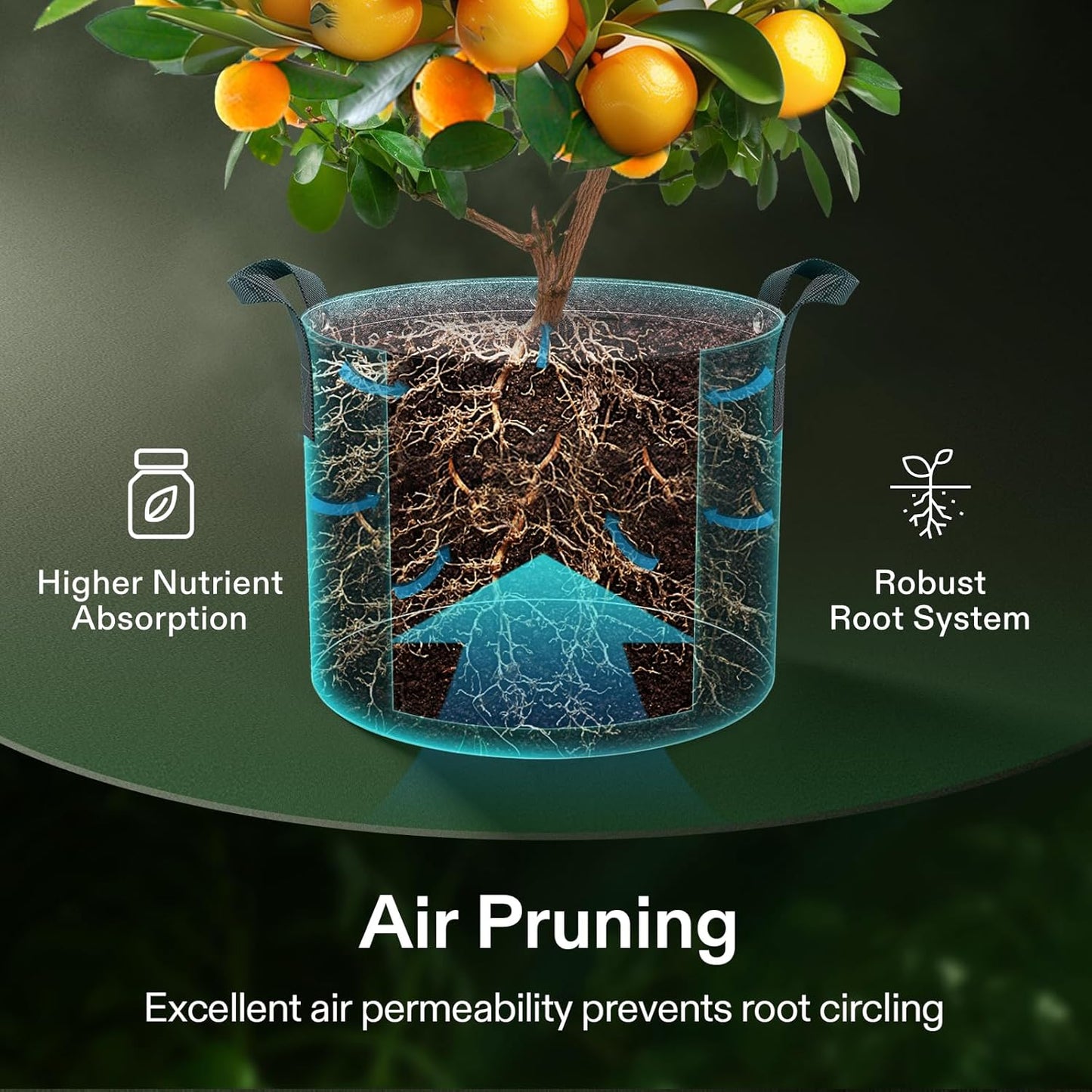 VIVOSUN 5-Pack 25 Gallon Grow Bags, 500G Thick Nonwoven Fabric Pots with Strap Handles, Multi-Purpose Rings, for Low Stress Plant Training Fruits, Vegetables, and Flowers