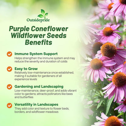 Outsidepride Purple Echinacea Coneflower Seeds - 1000 Pcs Perennial, Deer-Proof & Drought Tolerant Flower Seeds with Daisy-Like Blooms for Pollinator-Friendly Gardens, Borders, & Meadows