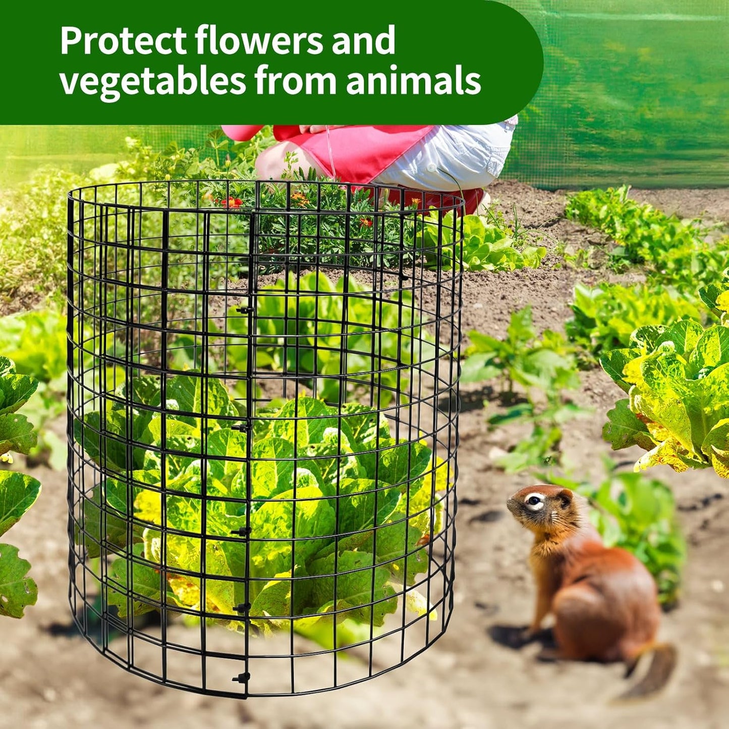 5 Pack Metal Plant Protector, Metal Plant Protection Cages (13" Diax14.2H) to Keep Animals Out, for The Garden Protection of Flowers, Saplings, Fruits Vegetables, Black