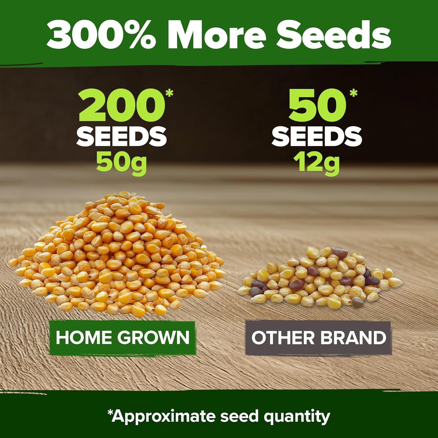 HOME GROWN Golden Bantam Corn 2 Pack – 200 𝗡𝗢𝗡-𝗚𝗠𝗢 𝗨𝗦𝗔 Heirloom Vegetable Seeds – Grow Sweet Corn Outdoors – Easy for Beginners & Great for Home Gardeners –High Germination (Zea mays)