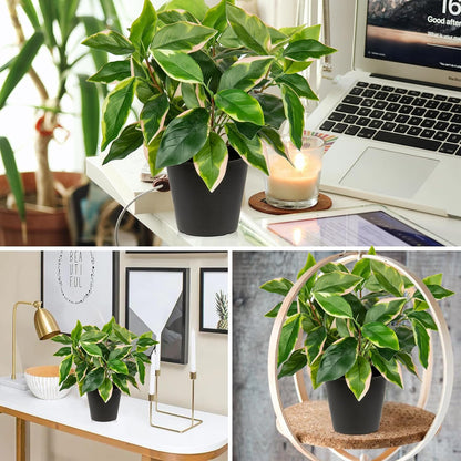 Artificial Plants Indoor Small Fake Plants in Pots Faux Pothos N‘ Joy Potted Plant Fake Indoor Plants with Black Pots for Bathroom Living Room Office Desk Shelves