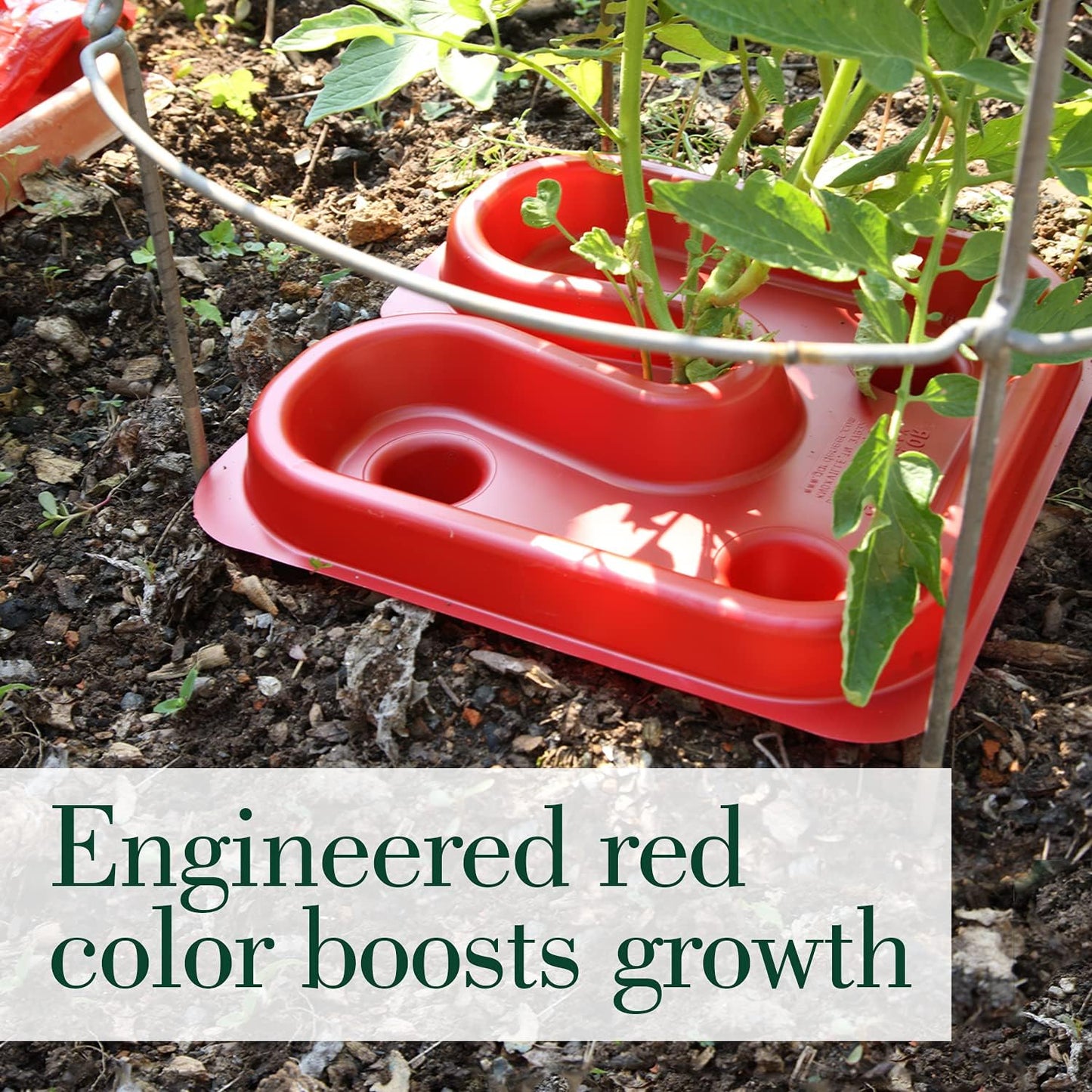 Dalen Gardeneer Tomato Tray Super Boost – Increases Tomato Plant Yield up to 40% – Easy to Install – 12" x 12" x 3.5" – Pack of 3