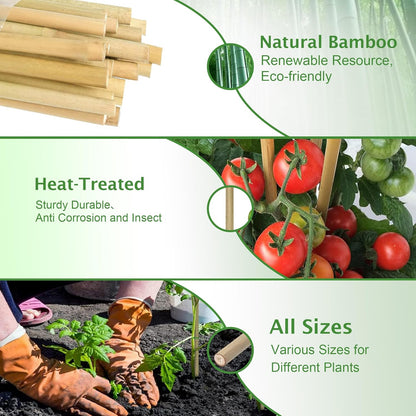 Garden Stakes 4ft, Natural Bamboo Stakes 4 Feet, Thicker Sturdy Plant Stakes 25 Pack for Tomatoes, Beans, Flowers, Potted and More Climbing Plants