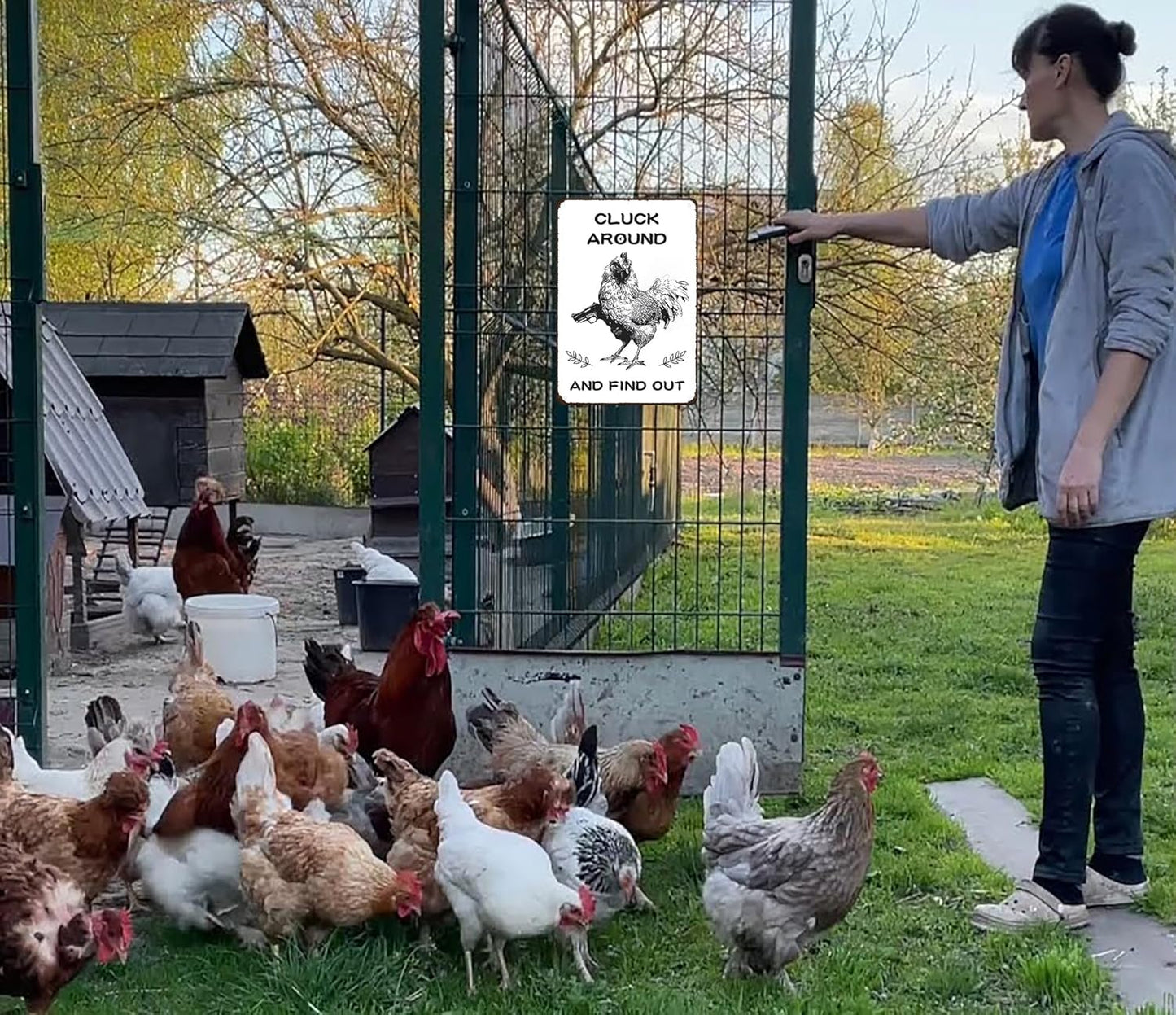 Funny Chicken Gifts Chicken Tin Sign for Home Farm Chicken Coop Farmhouse Kicthen Garden Decor 8 X 12 Inch (3220)
