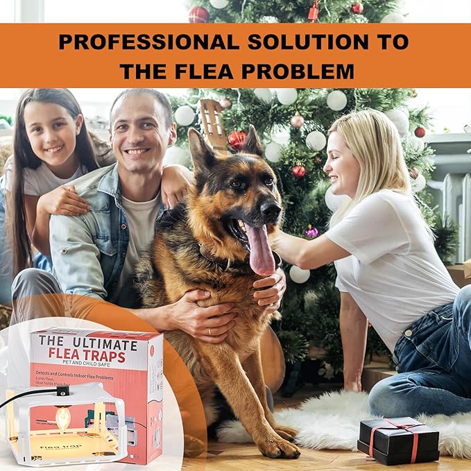 Qualirey 4 Packs Flea Traps for Inside Your Home with 8 Sticky Disc 12 Bulbs 4 Electric Wires, Pest Insects Killer Bed Bug with Light for Indoor Safe to Pets(Square Flea Trap,White)