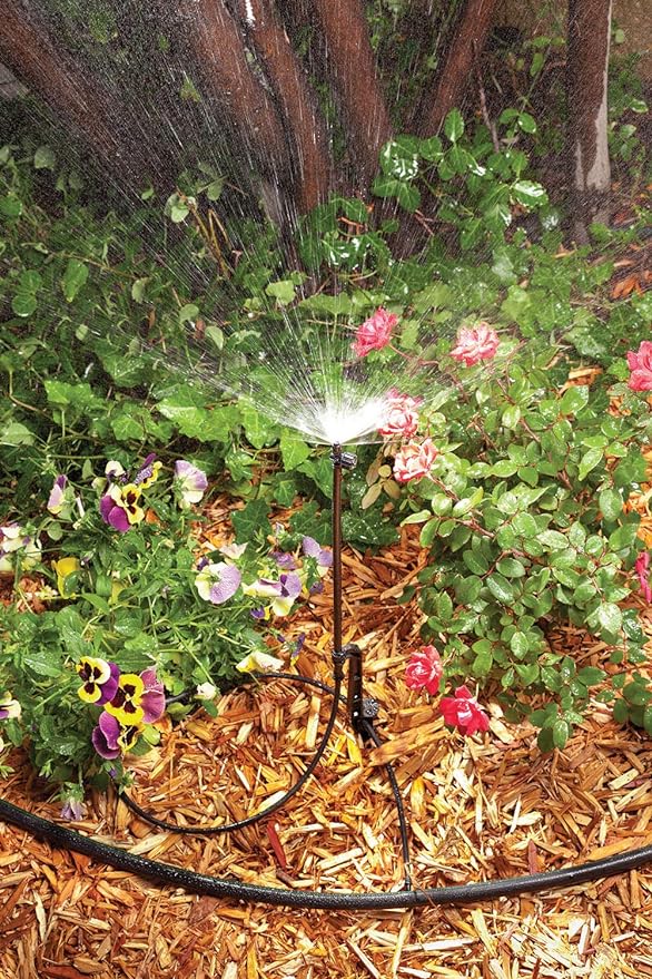 Rain Bird MSSTKTH1S Drip Irrigation Micro-Spray on Adjustable Height Staked Riser with 1/4" Tubing and Barbed Coupler, 180° Half Circle Pattern, 0-10.5’ Spray Distance,Black (Pack of 2)